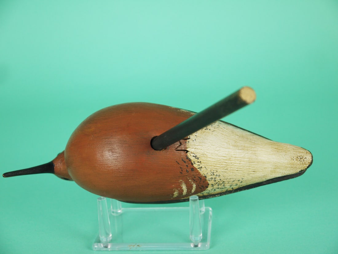 RED KNOT, S. MOREY - 4