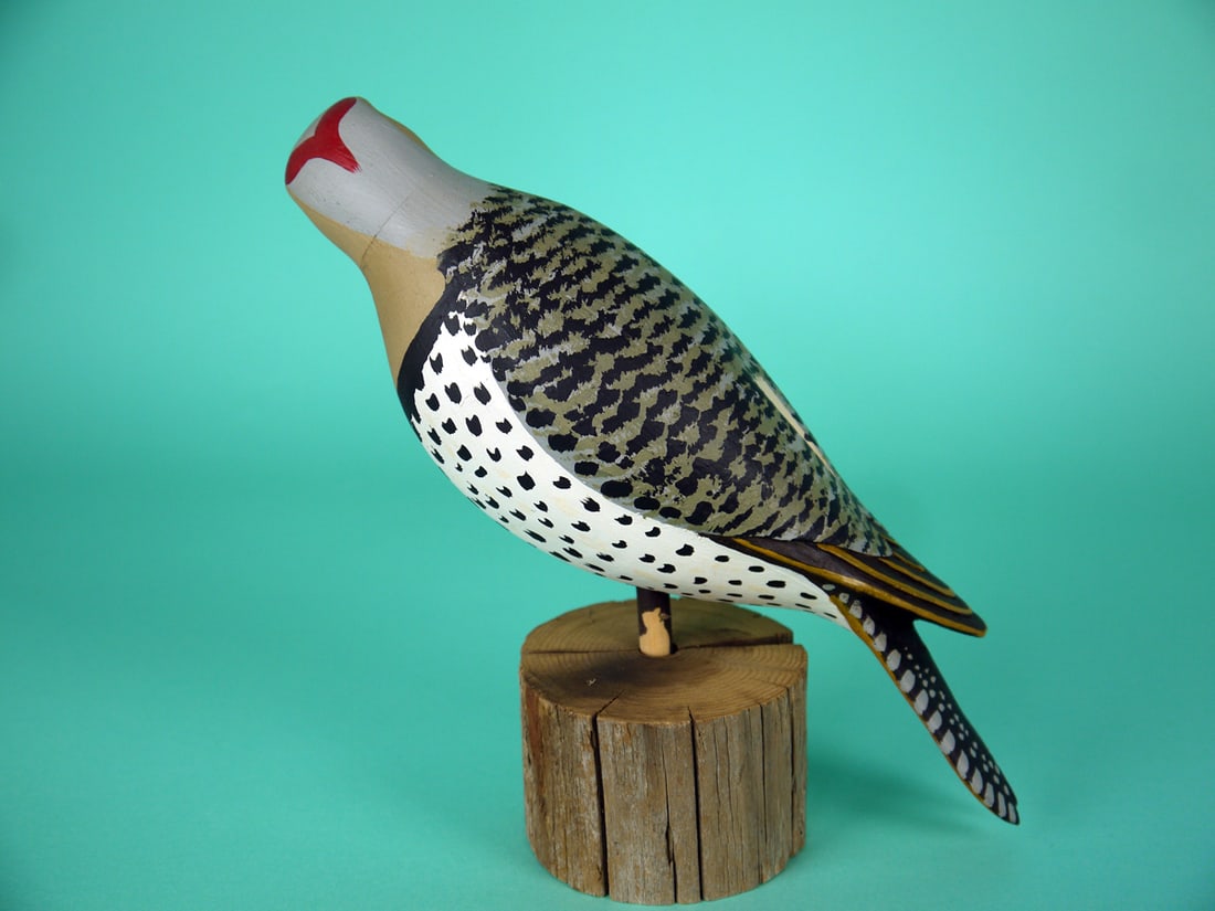 NORTHERN FLICKER, S. MOREY - 2