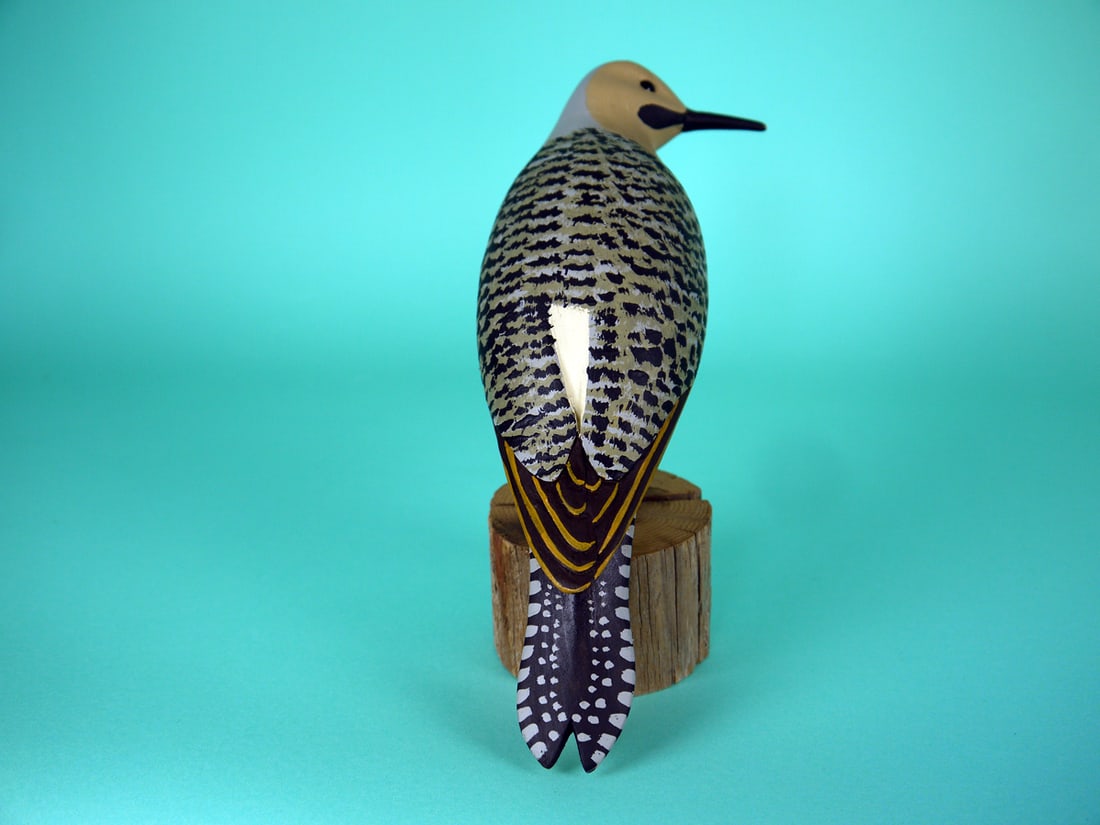 NORTHERN FLICKER, S. MOREY - 3