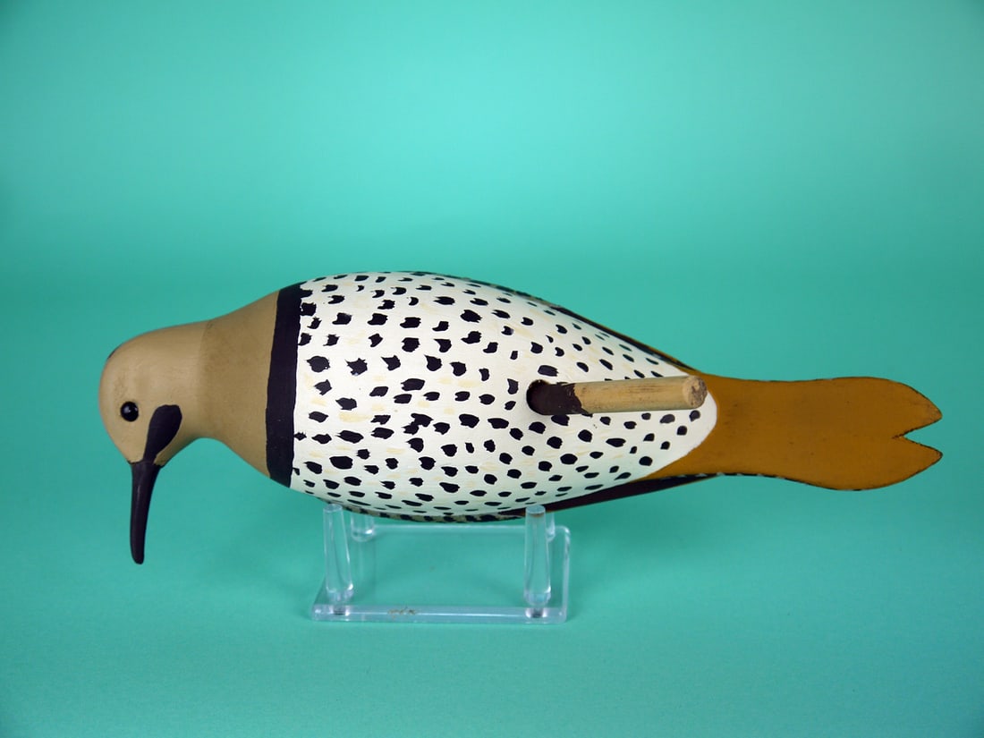 NORTHERN FLICKER, S. MOREY - 4