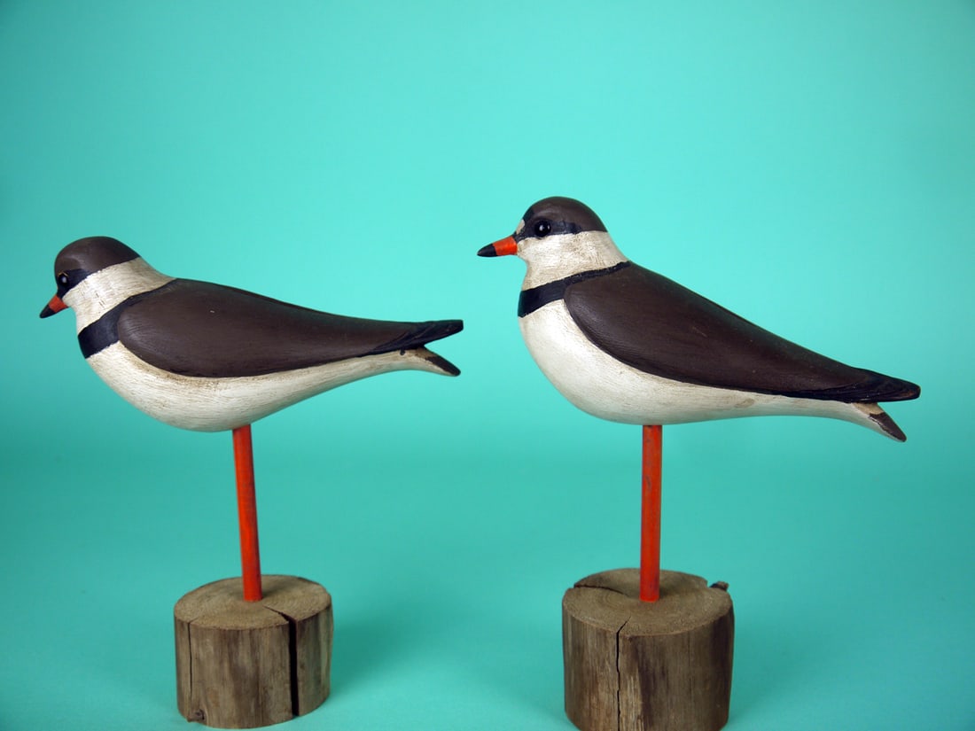 TWO SEMI-PALMATED PLOVERS, S. MOREY: TWO SEMI-PALMATED PLOVERS by Steve Morey, Tuckerton, NJ. Very good original paint and structural condition. Both with relief-carved wings and carved feather wing tips. Both retain glass eyes. Both