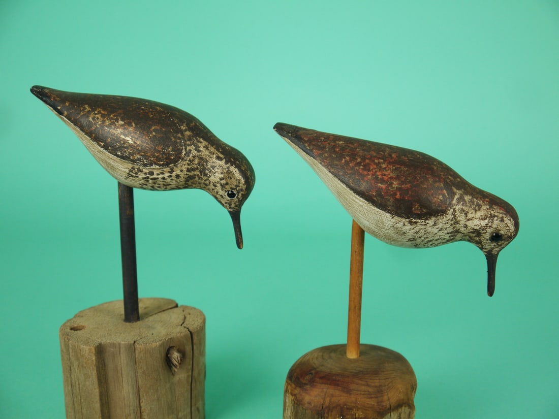 TWO SANDERLINGS, S. MOREY - 2