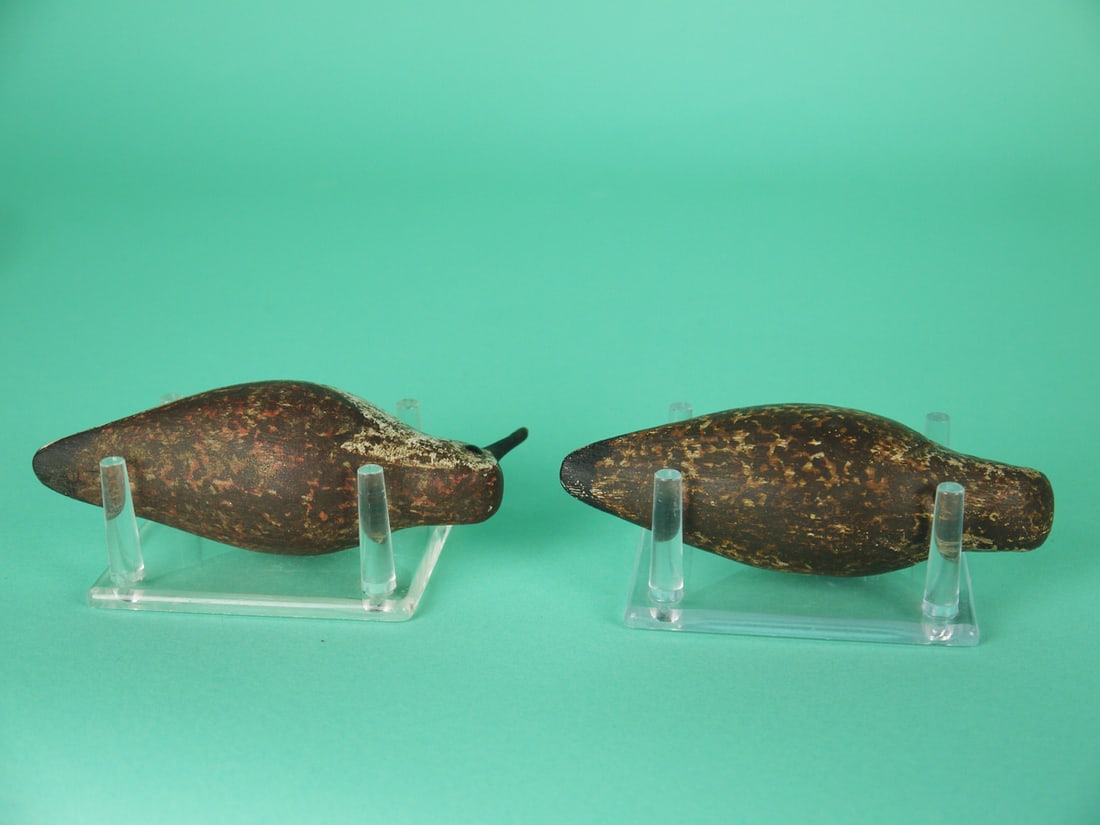 TWO SANDERLINGS, S. MOREY - 3