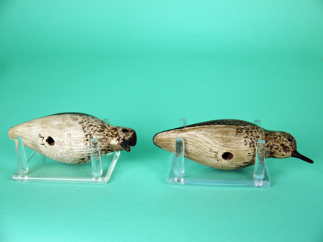 TWO SANDERLINGS, S. MOREY - 4
