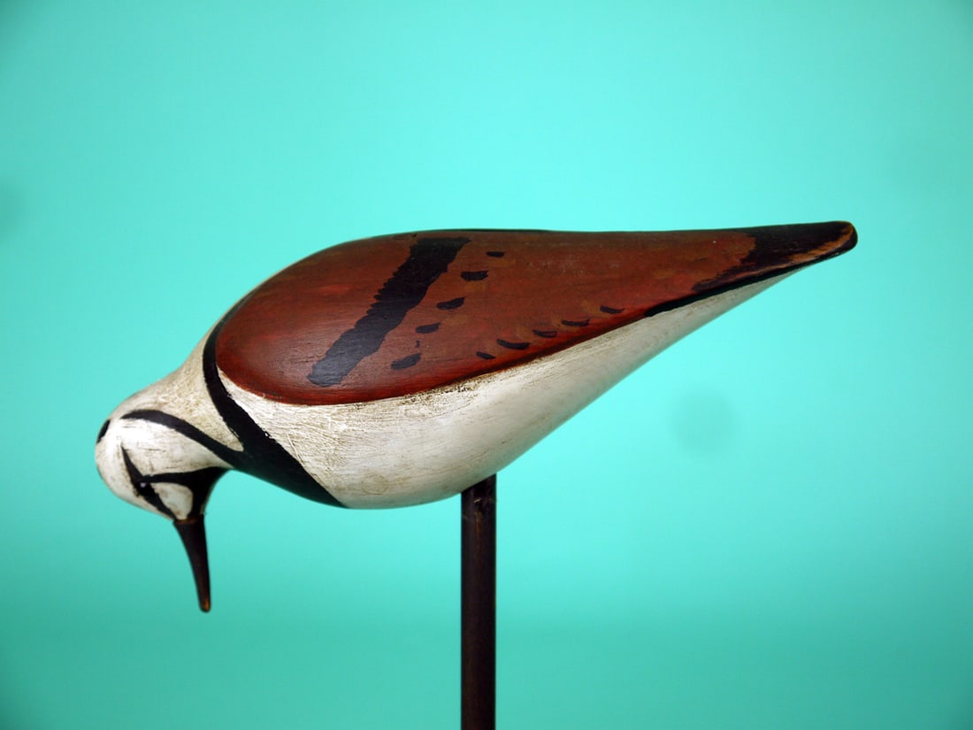 RUDDY TURNSTONE, S. MOREY: RUDDY TURNSTONE by Steve Morey, Tuckerton, NJ. Feeding model in very good original paint and structural condition. Very small raised knot on one wing. Stocky carving with relief-carved wings. Slightly