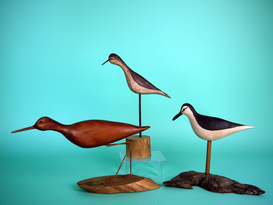 THREE SHOREBIRDS - 2