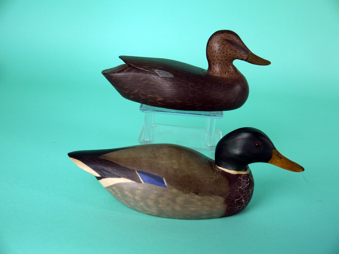 1/3 SIZE MALLARD DRAKE, A. NUNAN/ BLACK DUCK, DELAWARE RIVER (1 of 4)
