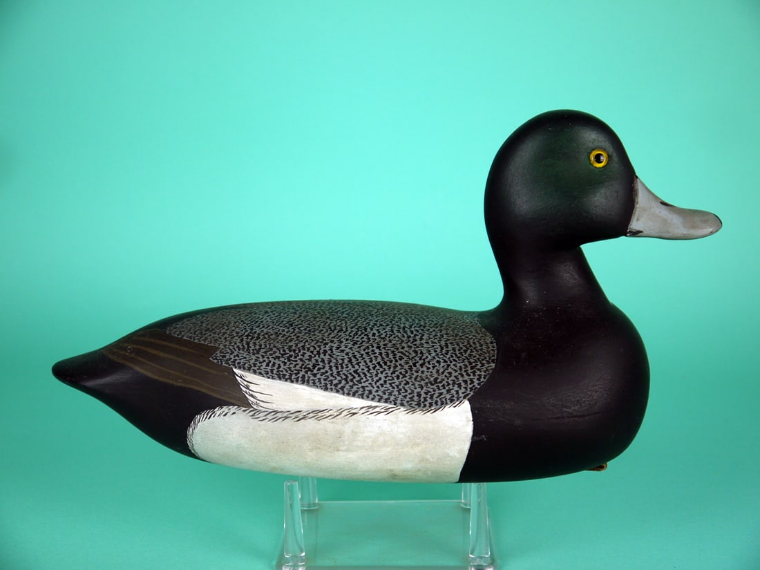 BLUEBILL DRAKE, C.F. PITMAN - 2