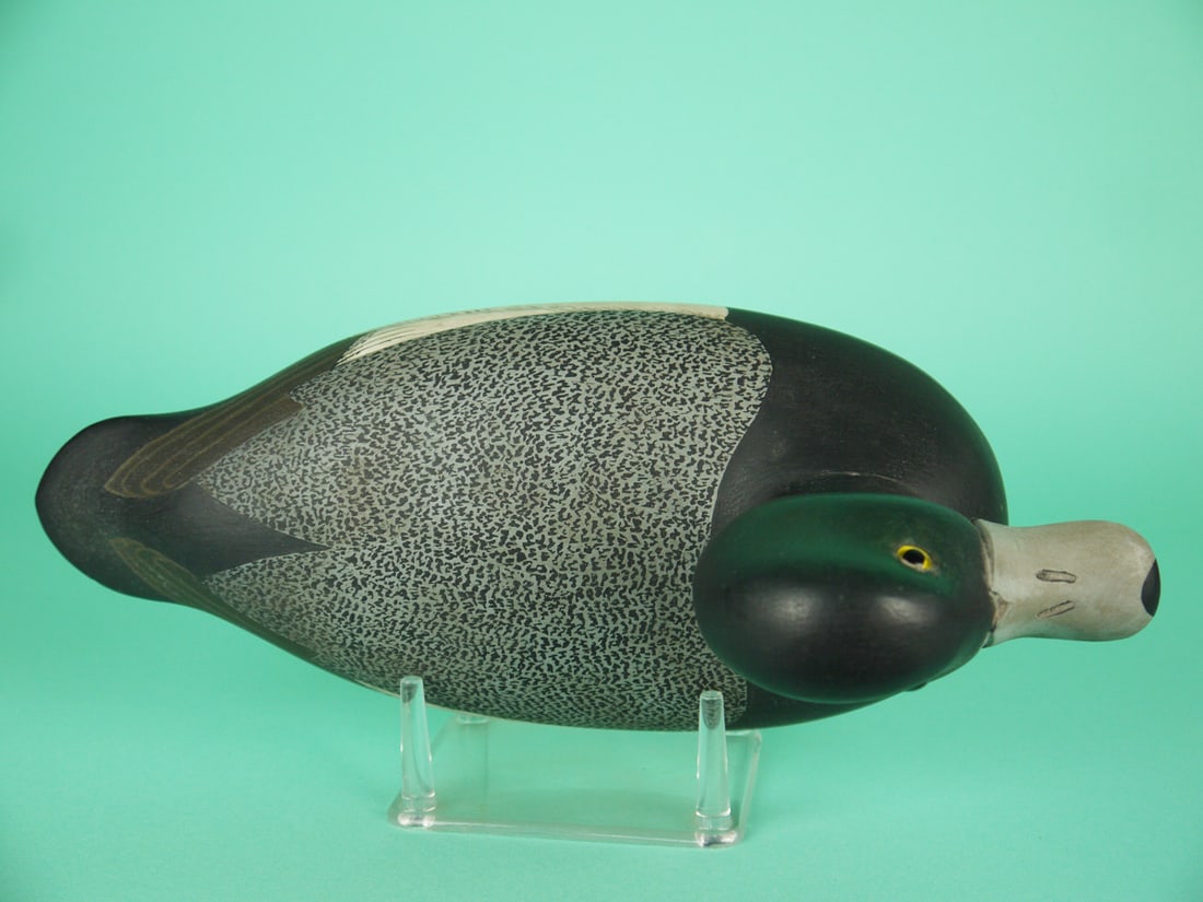 BLUEBILL DRAKE, C.F. PITMAN - 3