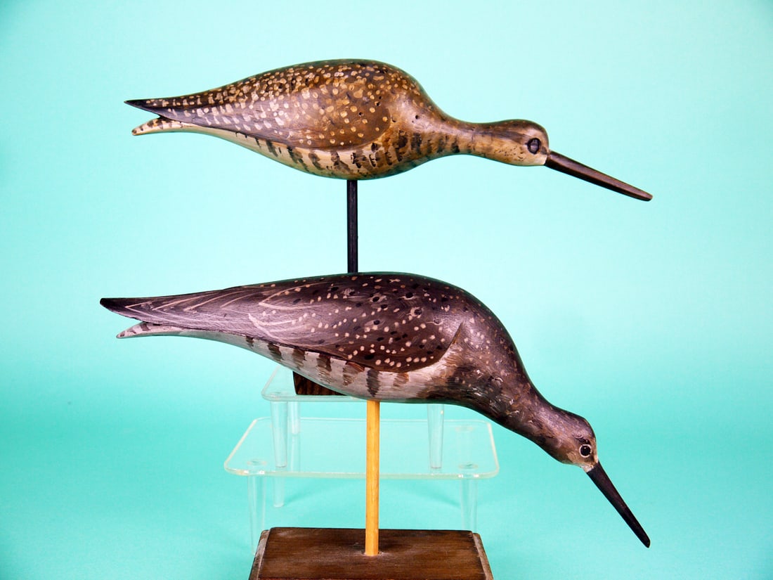 TWO YELLOWLEGS, D. RHODES - 2