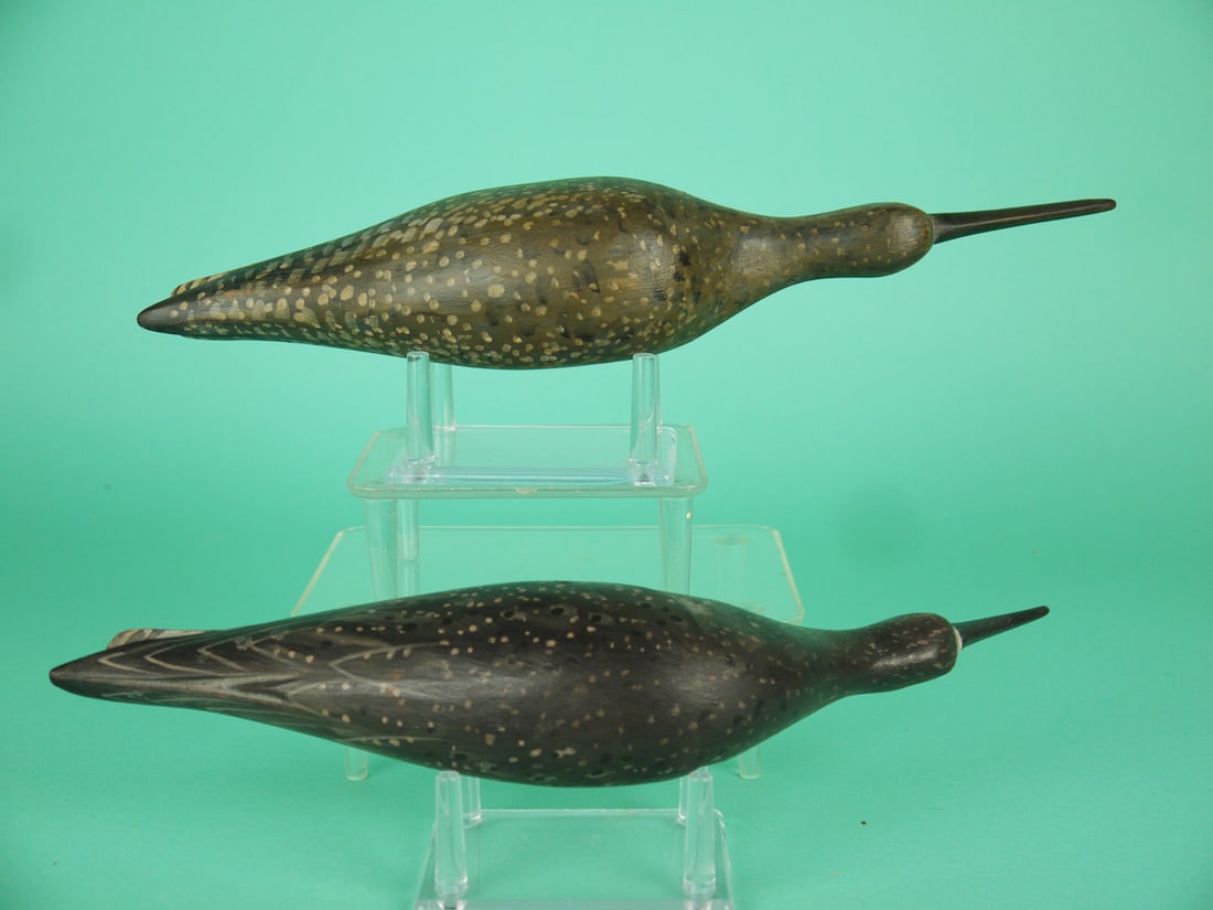 TWO YELLOWLEGS, D. RHODES - 3
