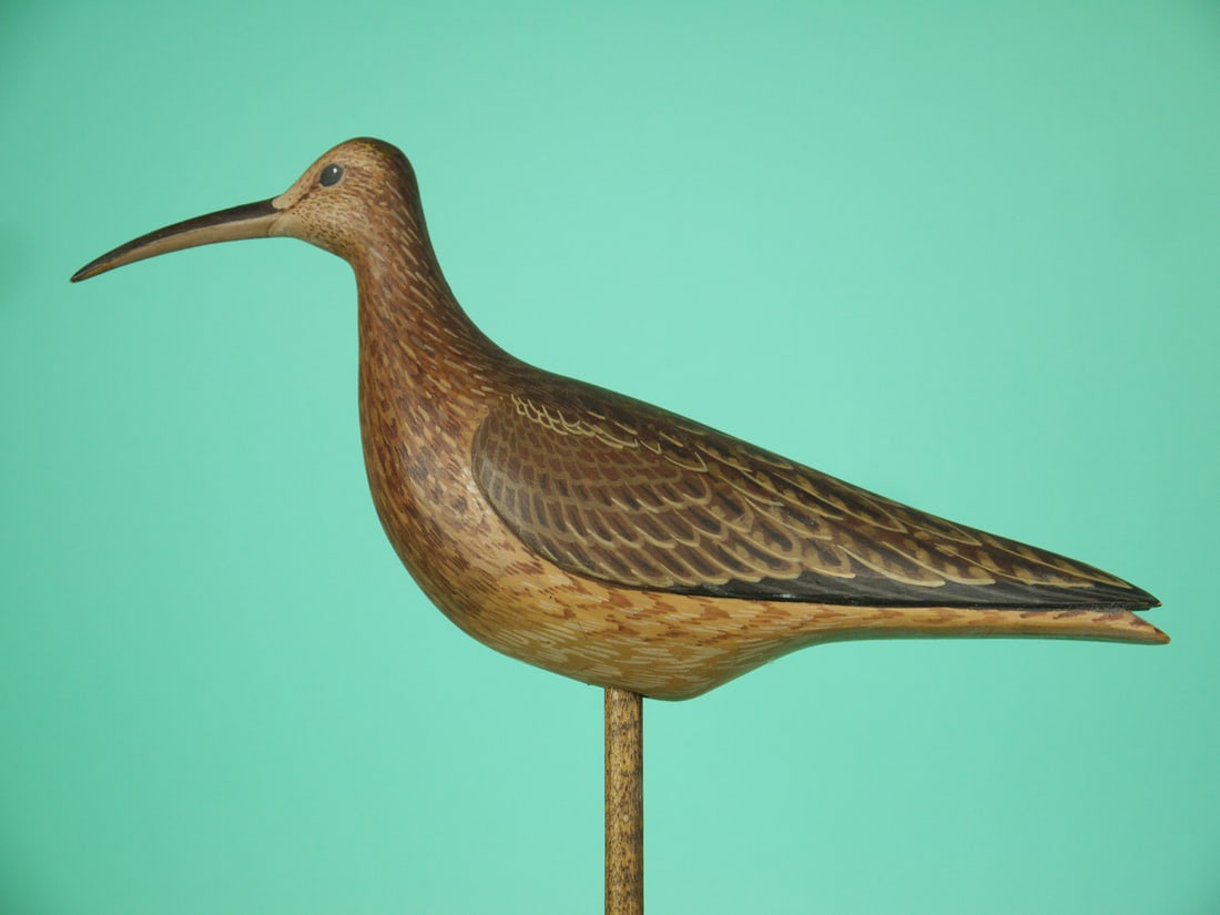 CURLEW, D. RHODES: FINE CURLEW by Dave Rhodes, Absecon, NJ. Excellent original paint and structural condition. Detailed painted feather work overall. Relief-carved wings with split wing tips. Painted eyes. Signed by