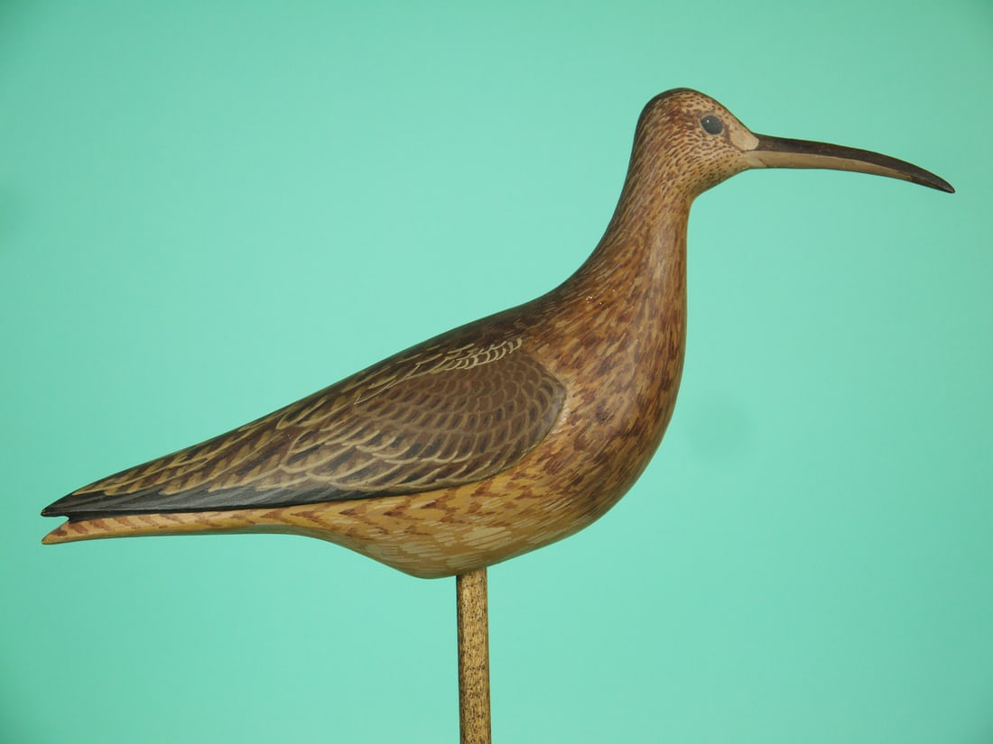 CURLEW, D. RHODES - 2