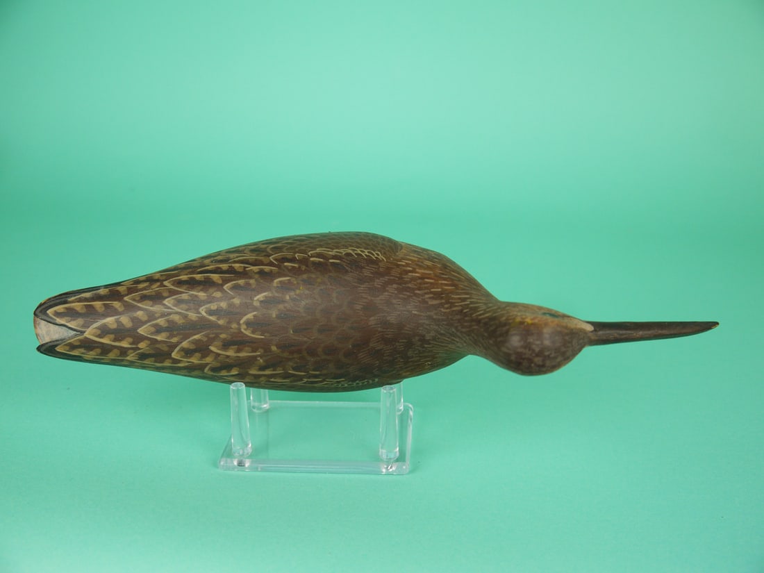 CURLEW, D. RHODES - 4