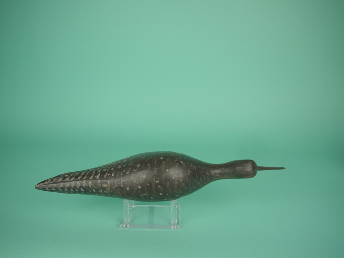 DOWITCHER, D. RHODES - 3