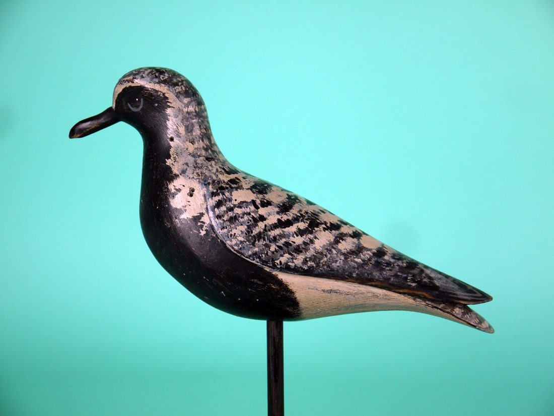 BLACK-BREASTED PLOVER, D. RHODES: BLACK-BREASTED PLOVER by Dave Rhodes, Absecon, NJ. Good original paint with some rubs to wing and tail edges. Good structural condition with four tiny shot mark to sides. Relief-carved wings and