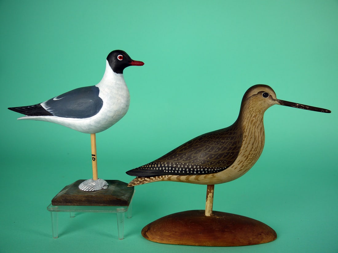 TERN/YELLOWLEGS, D. RHODES - 2
