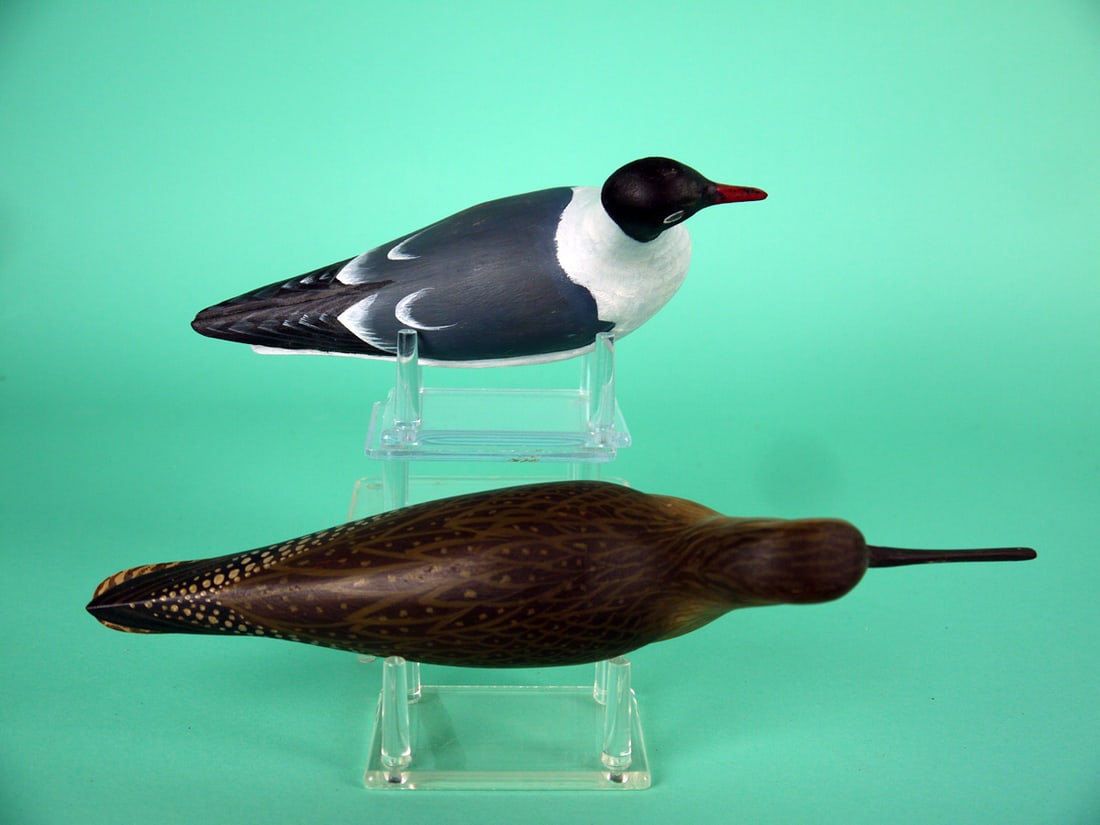 TERN/YELLOWLEGS, D. RHODES - 3