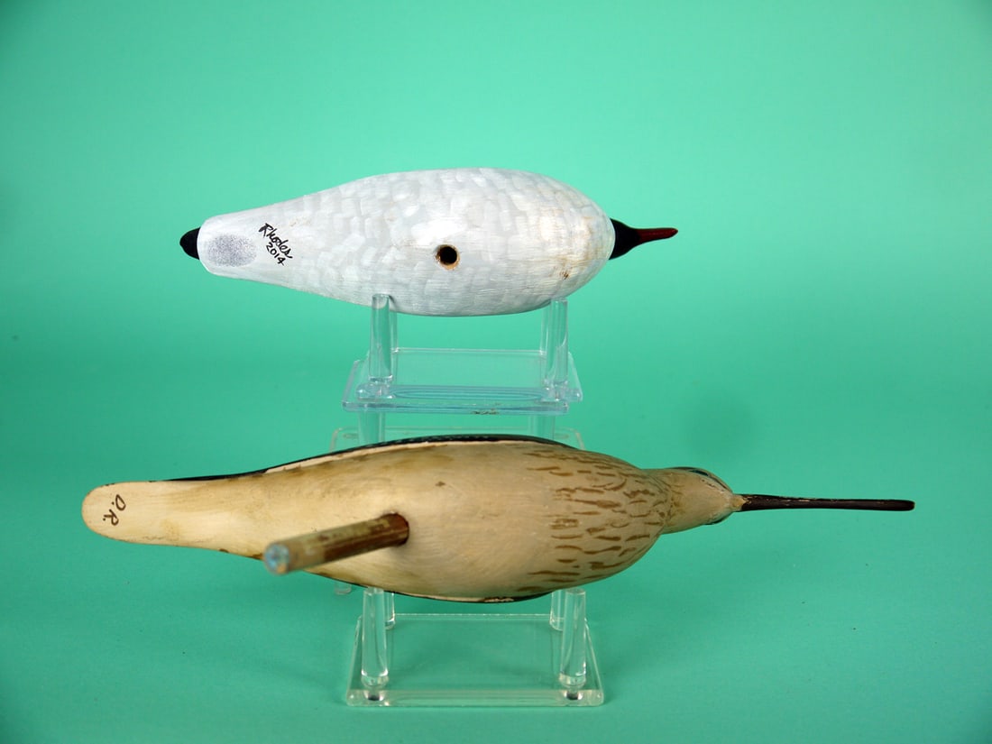 TERN/YELLOWLEGS, D. RHODES - 4