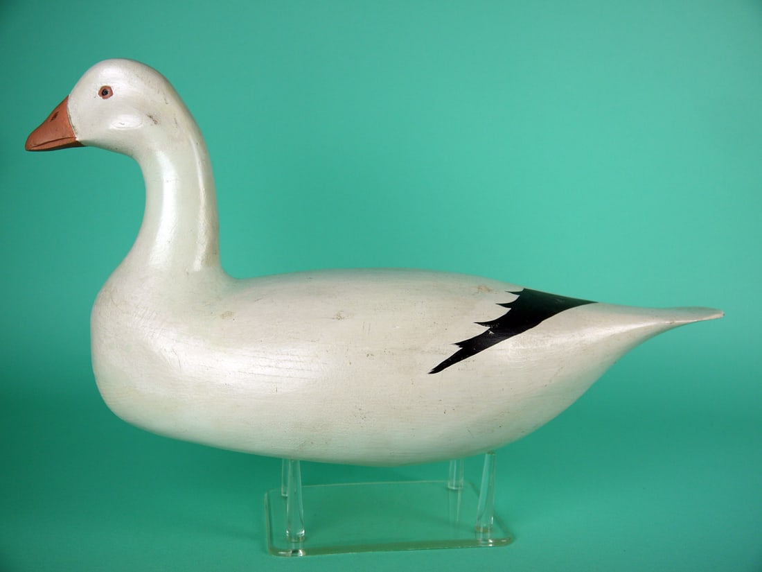 SNOW GOOSE, H.V. SHOURDS: RARE SNOW GOOSE by Harry V. Shourds, Seaville, NJ. Very good original paint and structural condition. Hollow construction. Head with carved eyes and bill with carved nostrils and mandible. Retains inl