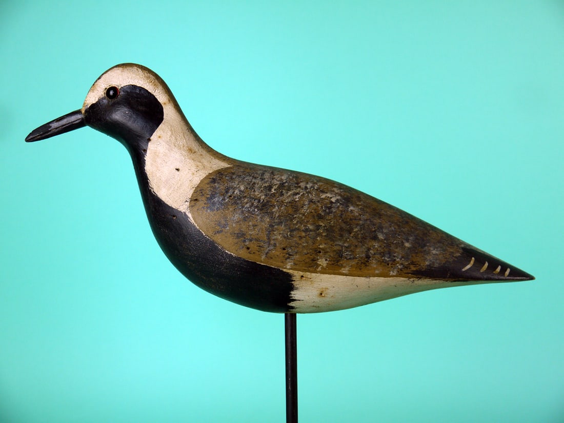 BLACK-BELLIED PLOVER, H.V. SHOURDS: BLACK-BELLIED PLOVER by Harry V. Shourds, Seaville, NJ. Good original paint. Some darkening to white areas and very small paint rub to underside of tail. Good structural condition. Areas of small shot