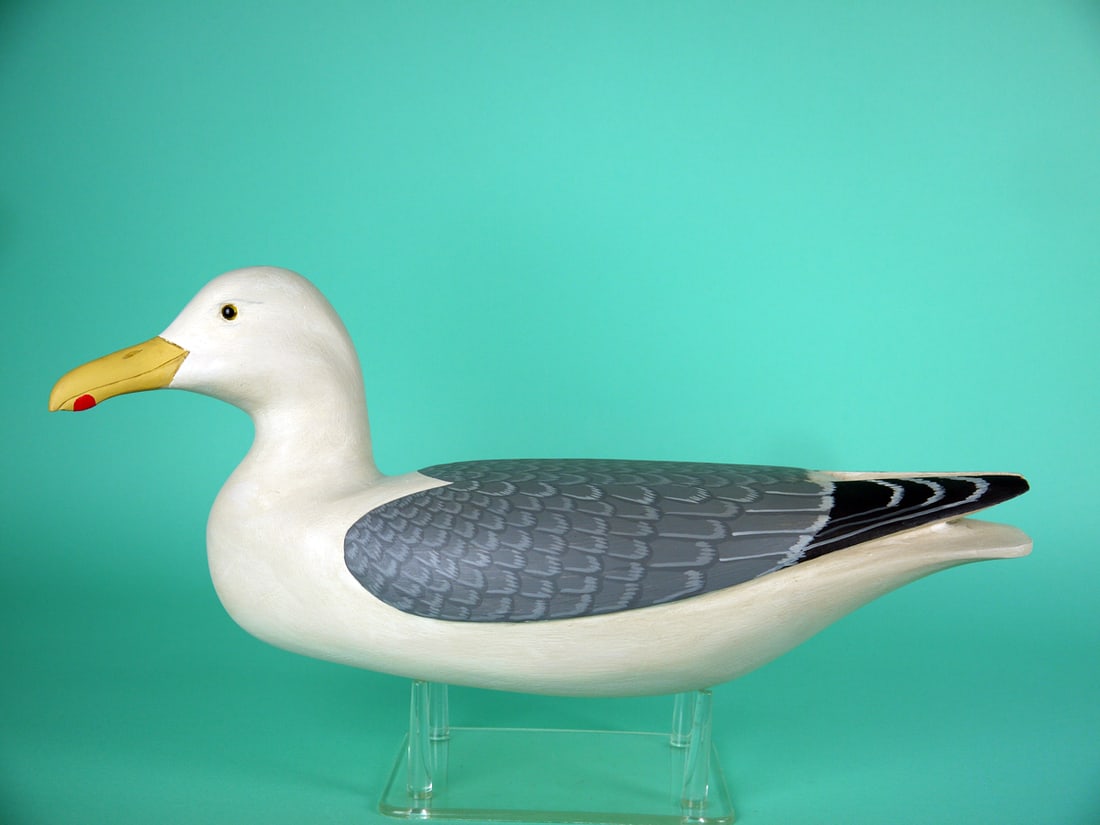 HERRING GULL, H.V. SHOURDS: HERRING GULL by Harry V. Shourds, Seaville, NJ. Very good original paint and structural condition. Hollow construction. Confidence decoy with relief-carved wings and raised wing tips. Very detailed pa