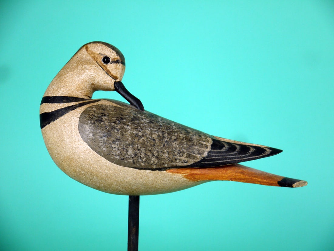 KILLDEER, H.V. SHOURDS: KILLDEER by Harry V. Shourds, Seaville, NJ. Very good original paint and structural condition. Preening model with raised wing tips. Detailed painted feather work to back and wings. Turned head retain