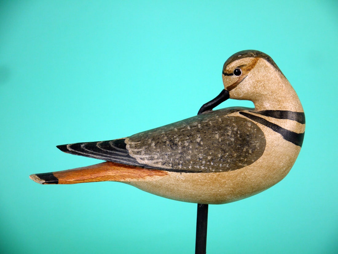 KILLDEER, H.V. SHOURDS - 2