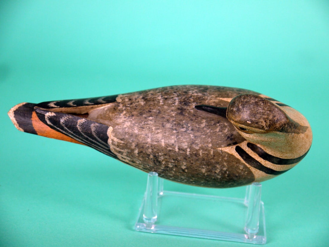 KILLDEER, H.V. SHOURDS - 3