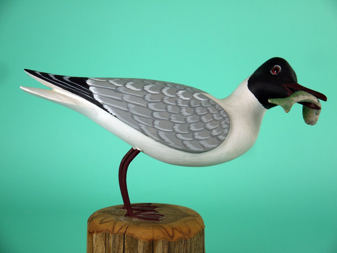 TERN, H.V. SHOURDS: TERN by Harry V. Shourds, Seaville, NJ. Excellent original paint and structural condition. Relief-carved wings and split wing tips. Detailed painted feather work to back and wings. Turned head