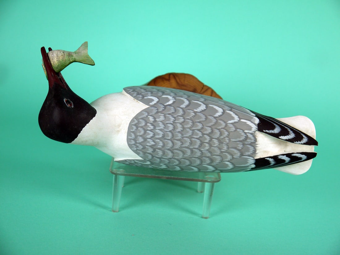 TERN, H.V. SHOURDS - 3