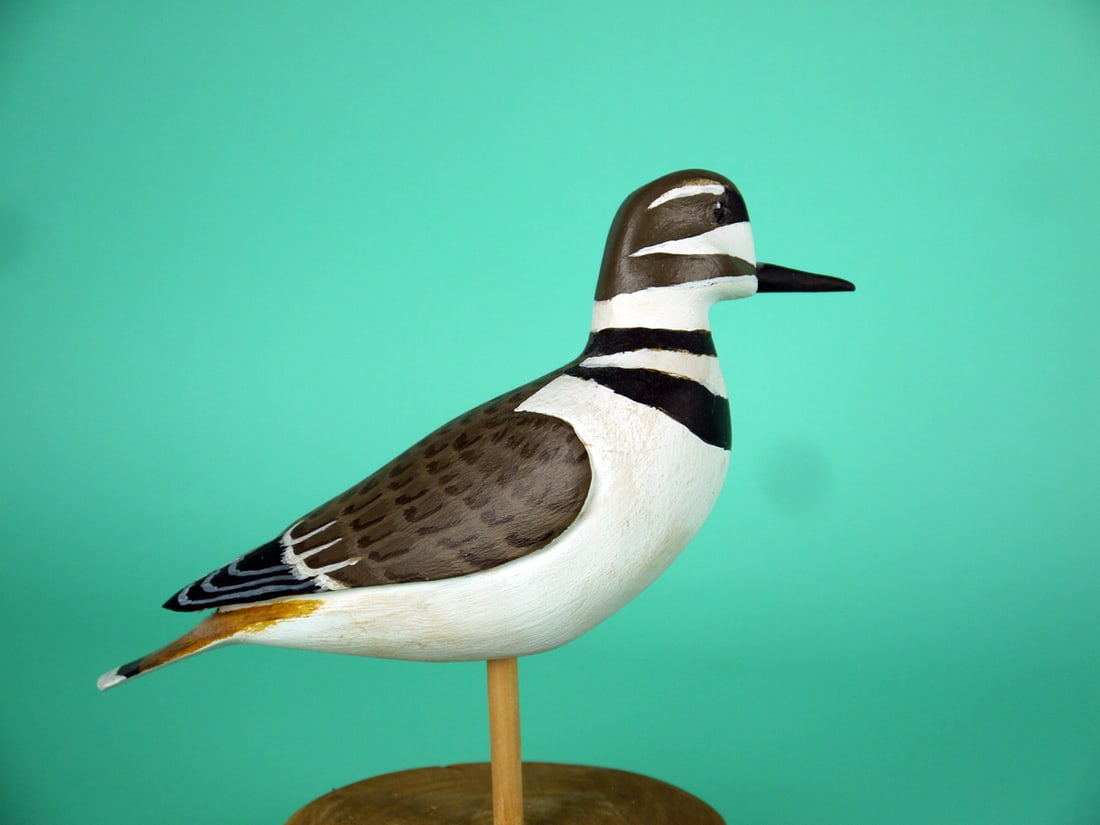 KILLDEER, H.V. SHOURDS - 2