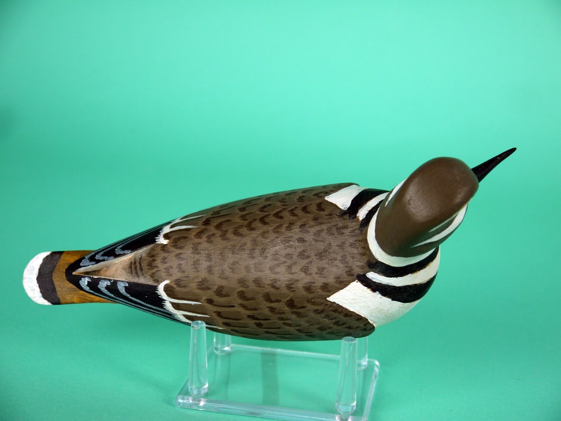 KILLDEER, H.V. SHOURDS - 3
