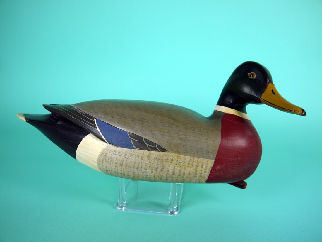 MALLARD DRAKE, H.V. SHOURDS (1 of 4)