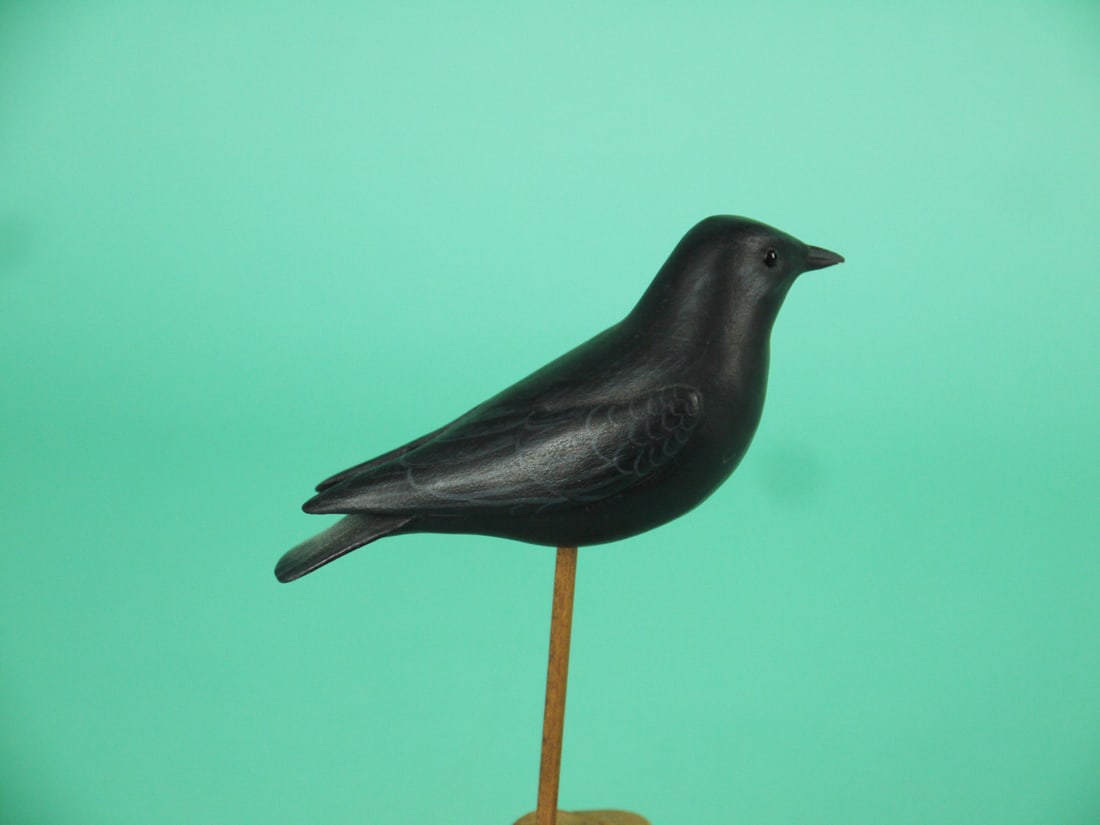 MINIATURE BLACK BIRD, M.K. SCHEEL - 2