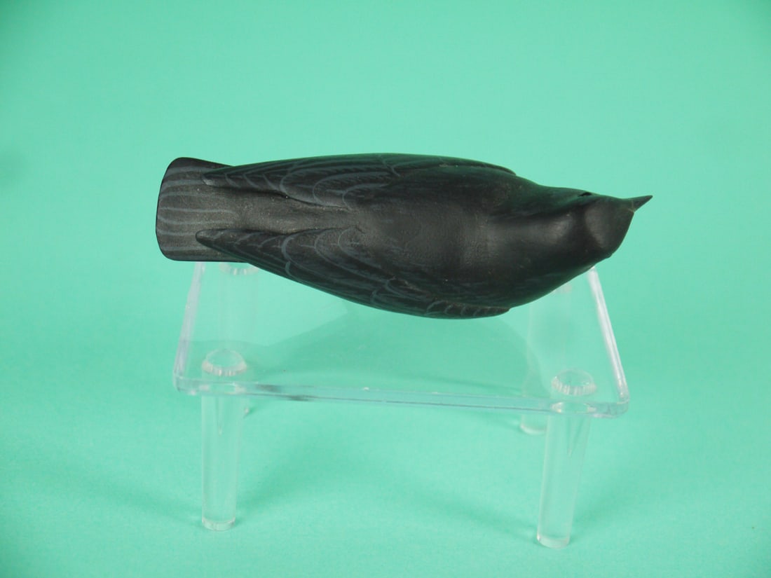 MINIATURE BLACK BIRD, M.K. SCHEEL - 3