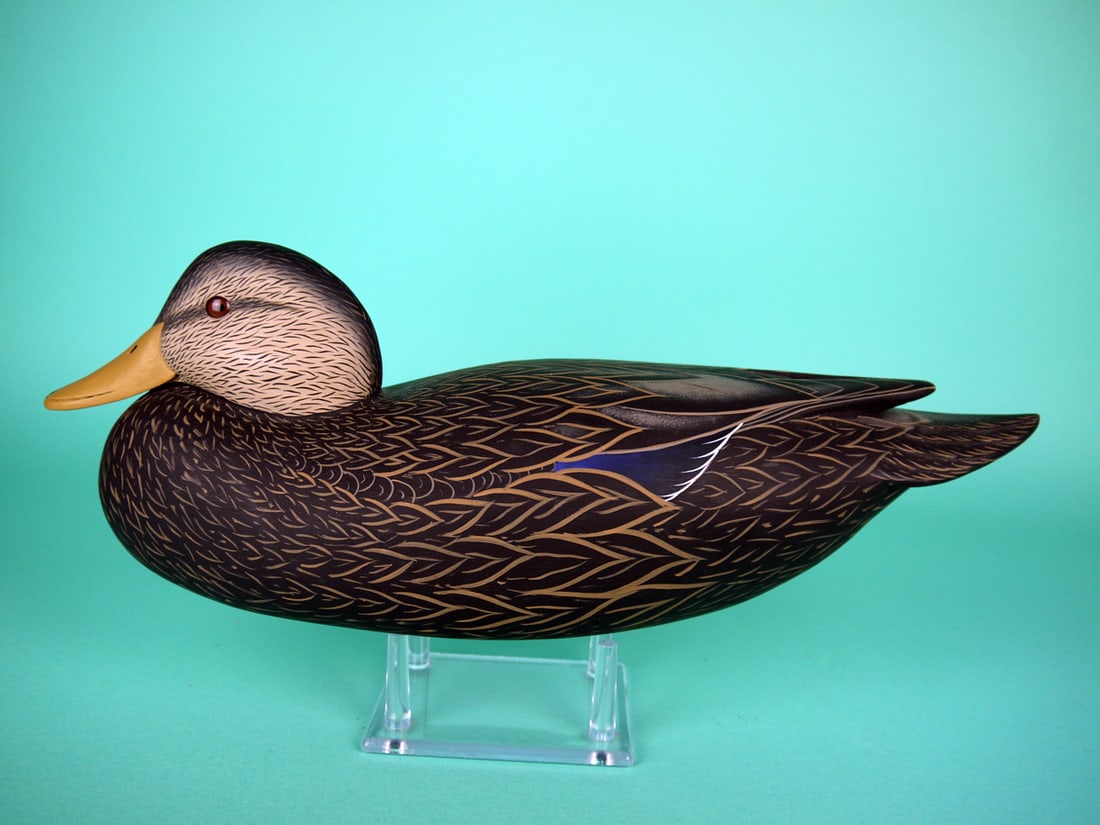 BLACK DUCK, J. WOOD (1 of 4)