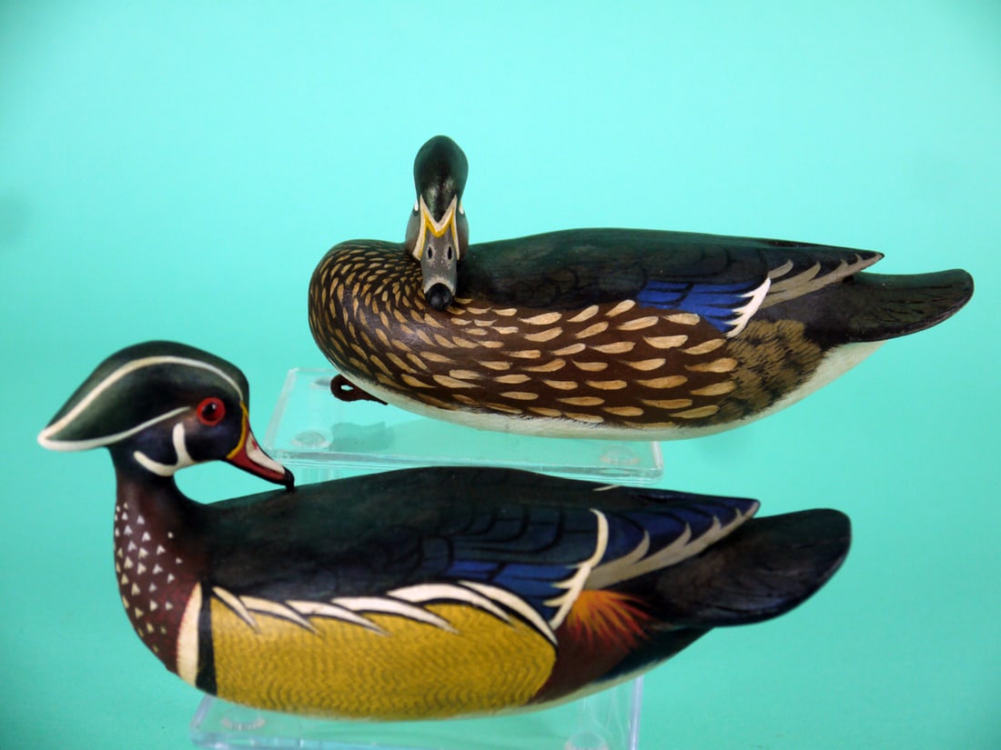 ONE-THIRD SIZE WOOD DUCK PAIR, J. WOOD: FINE PAIR OF ONE-THIRD SIZE WOOD DUCKS by John Wood, Venice, FL. Very good original paint and condition. Both with some minor discoloration to undersides. Both with fine detailed feather painting.