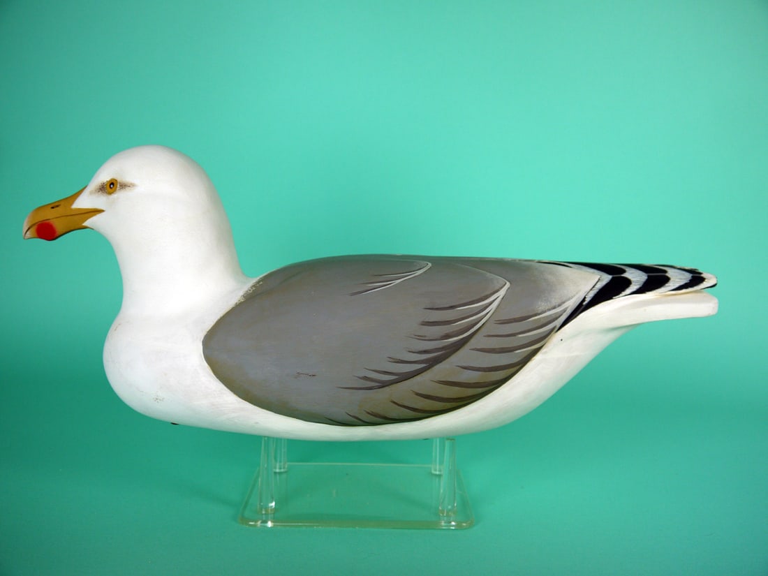 HERRING GULL, J. WOOD: FINE HERRING GULL by John Wood, Venice, FL. Very good original paint and structural condition. Hollow construction. Full-bodied carving with relief-carved wings and raised wing tips. Retains glass eye