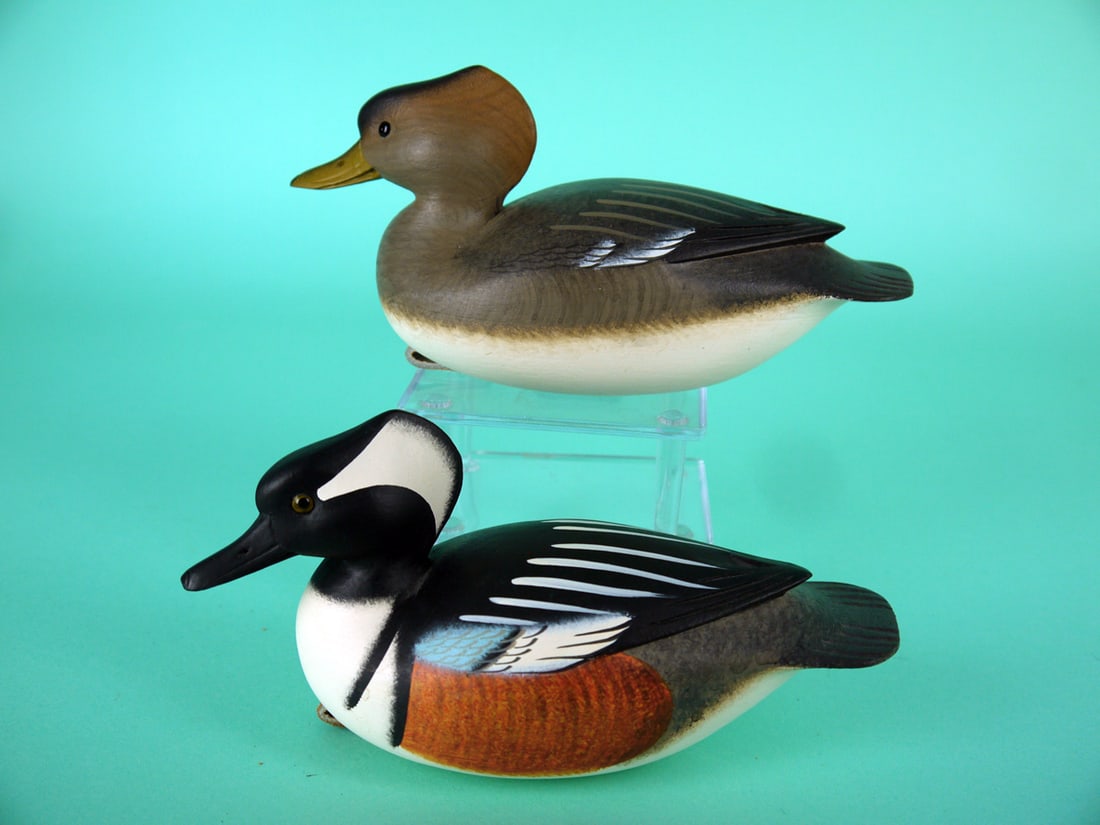 ONE-THIRD SIZE HOODED MERGANSER PAIR, F.C. BROWN, JR.: PAIR OF ONE-THIRD SIZE HOODED MERGANSERS by Fredrick C. Brown, Jr., Pt. Pleasant, NJ. Excellent original paint and structural condition. Raised carved wing tips and fluted tail carving. Painted