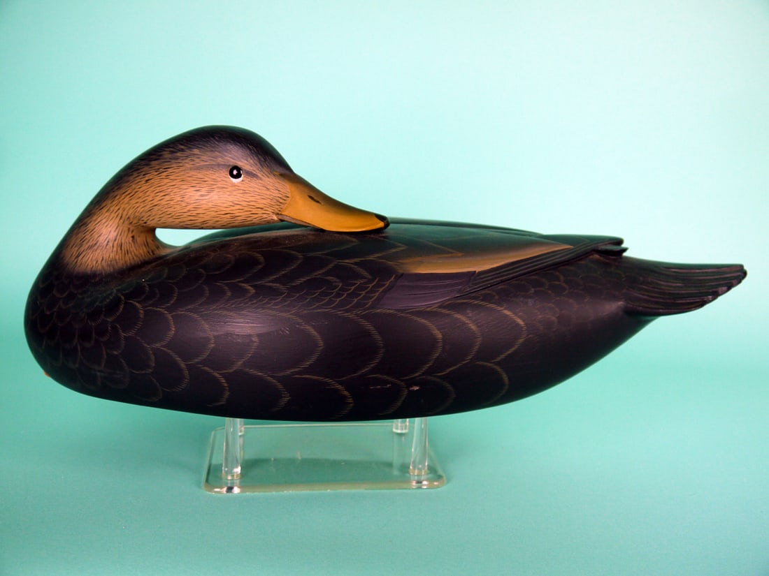 BLACK DUCK, G. STRUNK: VERY FINE BLACK DUCK by George Strunk, Glendora, NJ. Very good original paint and structural condition. Hollow construction. Oversized preening model with relief-carved wings, carved wings and crossed