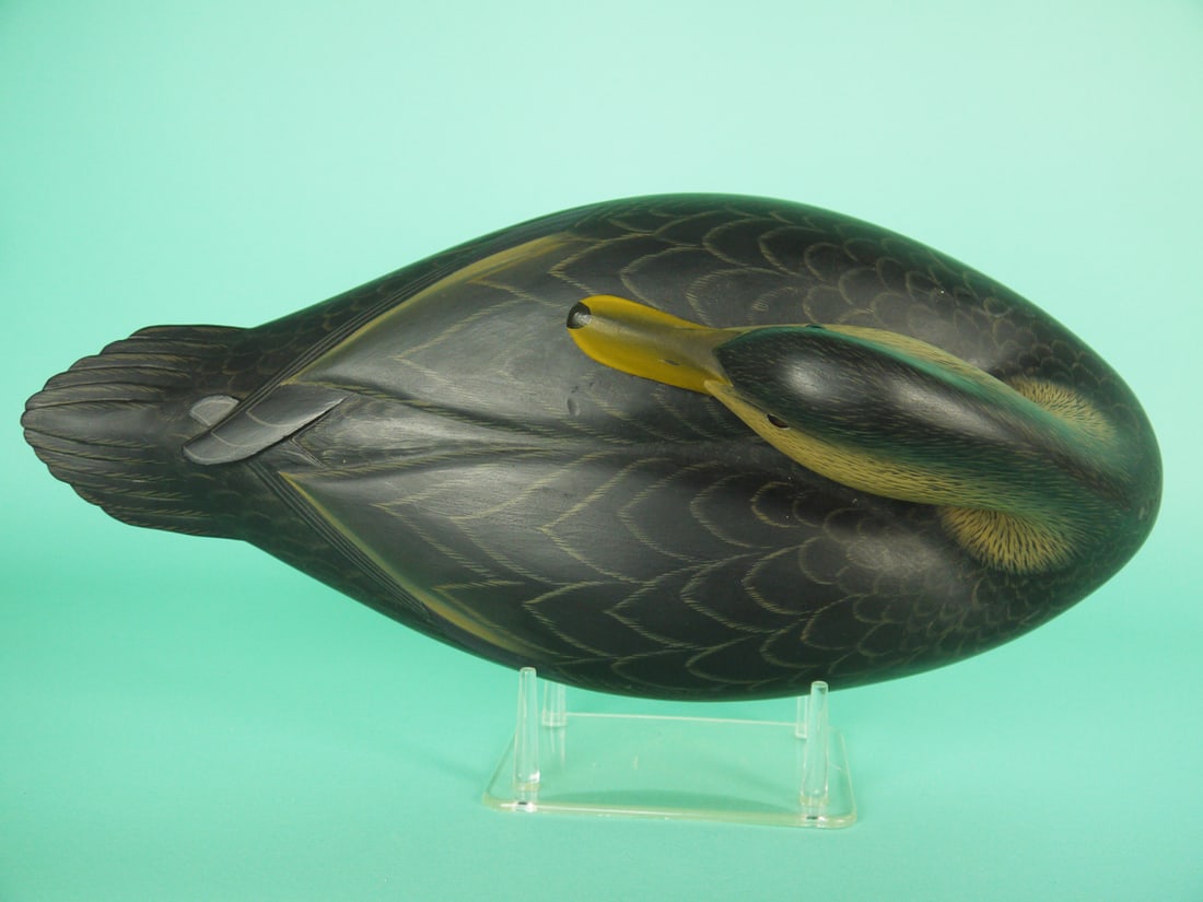 BLACK DUCK, G. STRUNK - 3