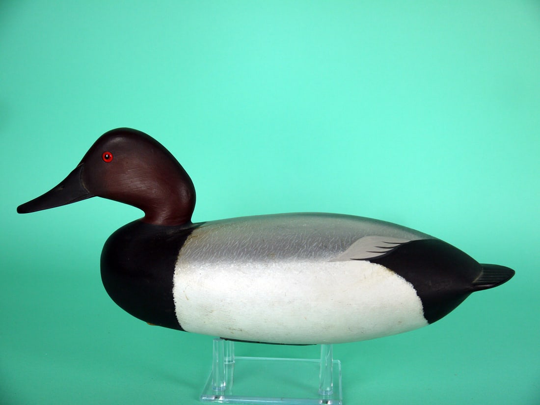 CANVASBACK DRAKE, G. STRUNK (1 of 4)