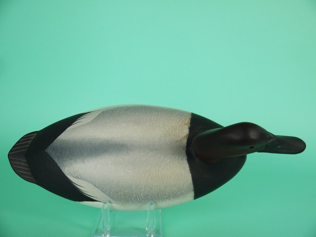 CANVASBACK DRAKE, G. STRUNK - 3