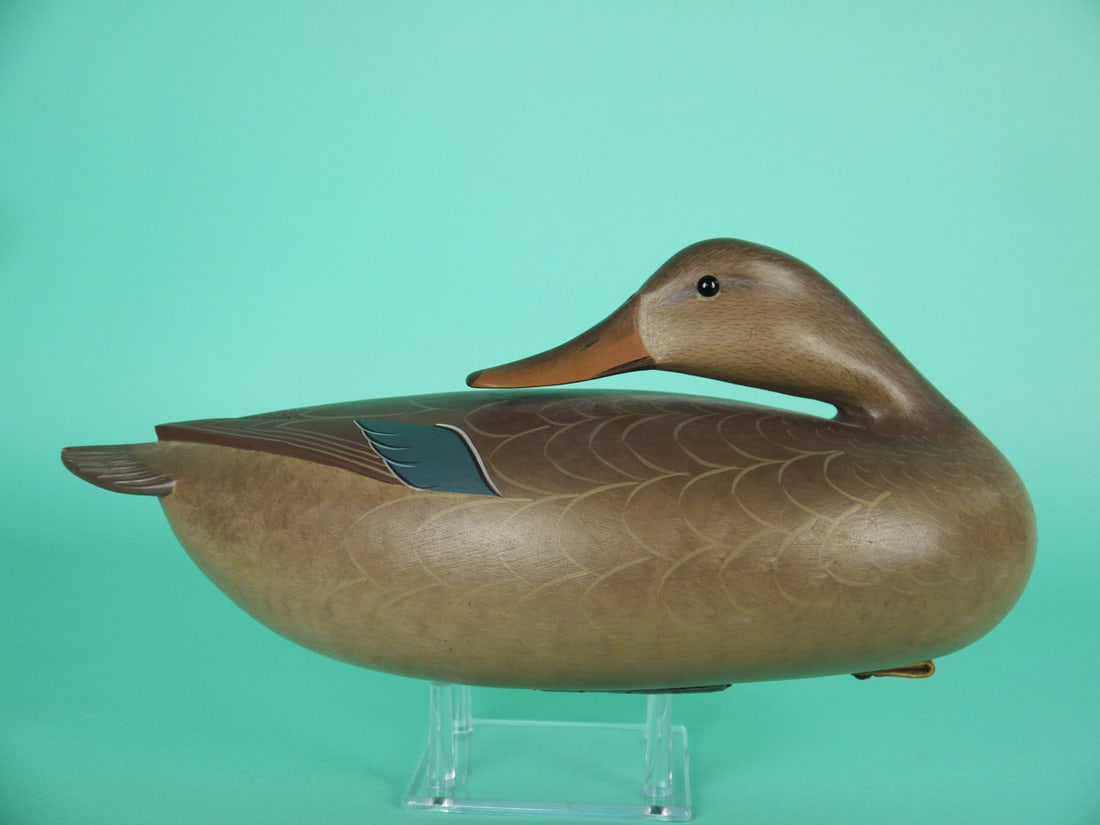 MALLARD HEN, G. STRUNK: MALLARD HEN by George Strunk, Glendora, NJ. Excellent original paint and structural condition. Preening model with raised wing tips and fluted tail carving. Retains pad weight and leather rigging.