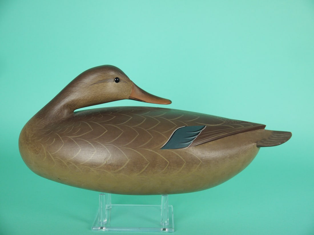 MALLARD HEN, G. STRUNK - 2