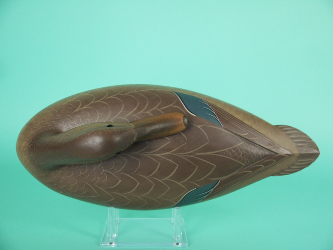 MALLARD HEN, G. STRUNK - 3