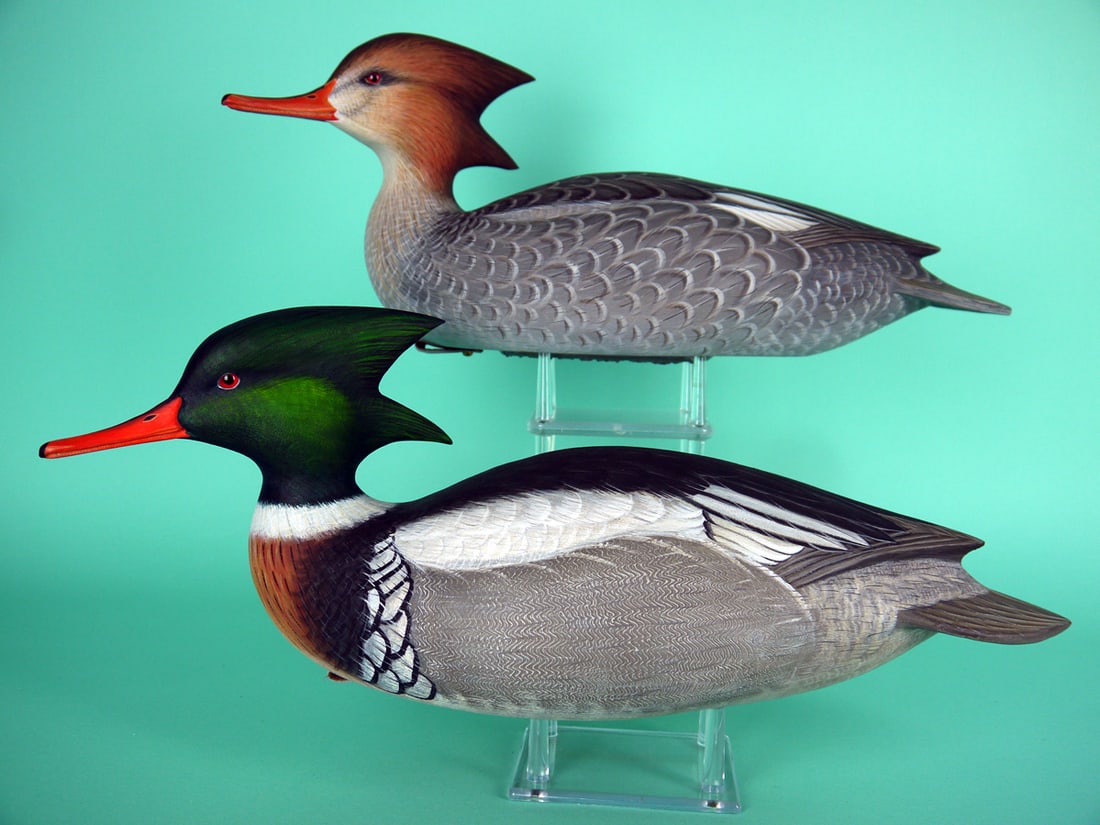 RED-BREASTED MERGANSER PAIR, B. HEINEMANN: OUTSTANDING PAIR OF RED-BREASTED MERGANSERS by Ben Heinemann, Durham, NC. Excellent original paint and very good structural condition. Professional repair to drake's bill by Mr. Heinemann.