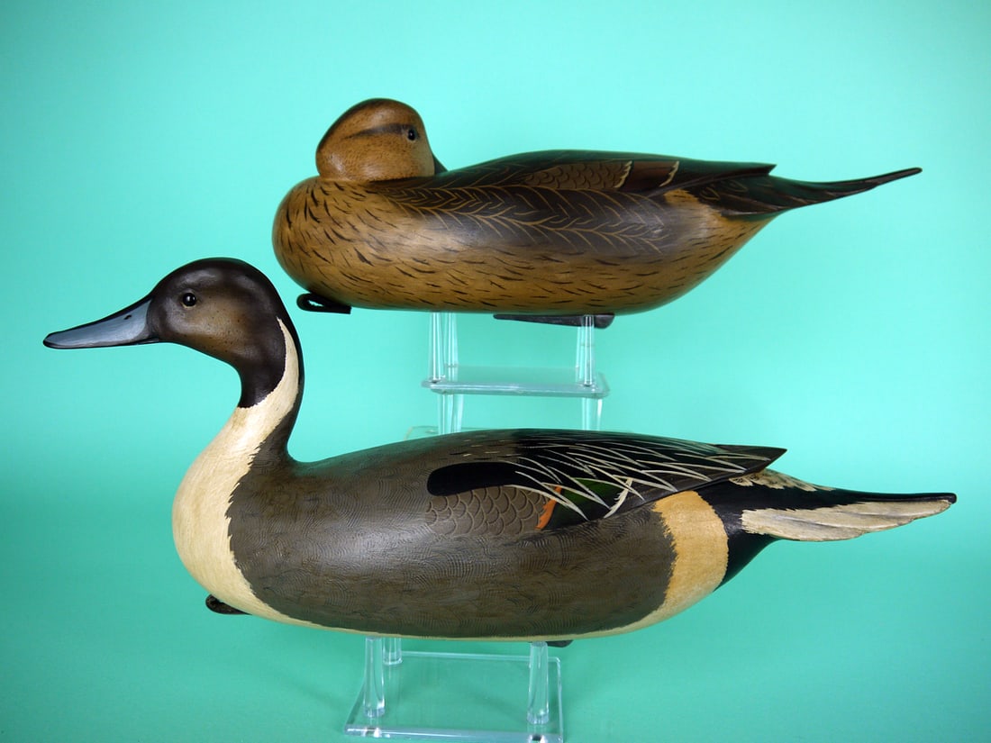 PINTAIL PAIR, B. WHITE (1 of 4)