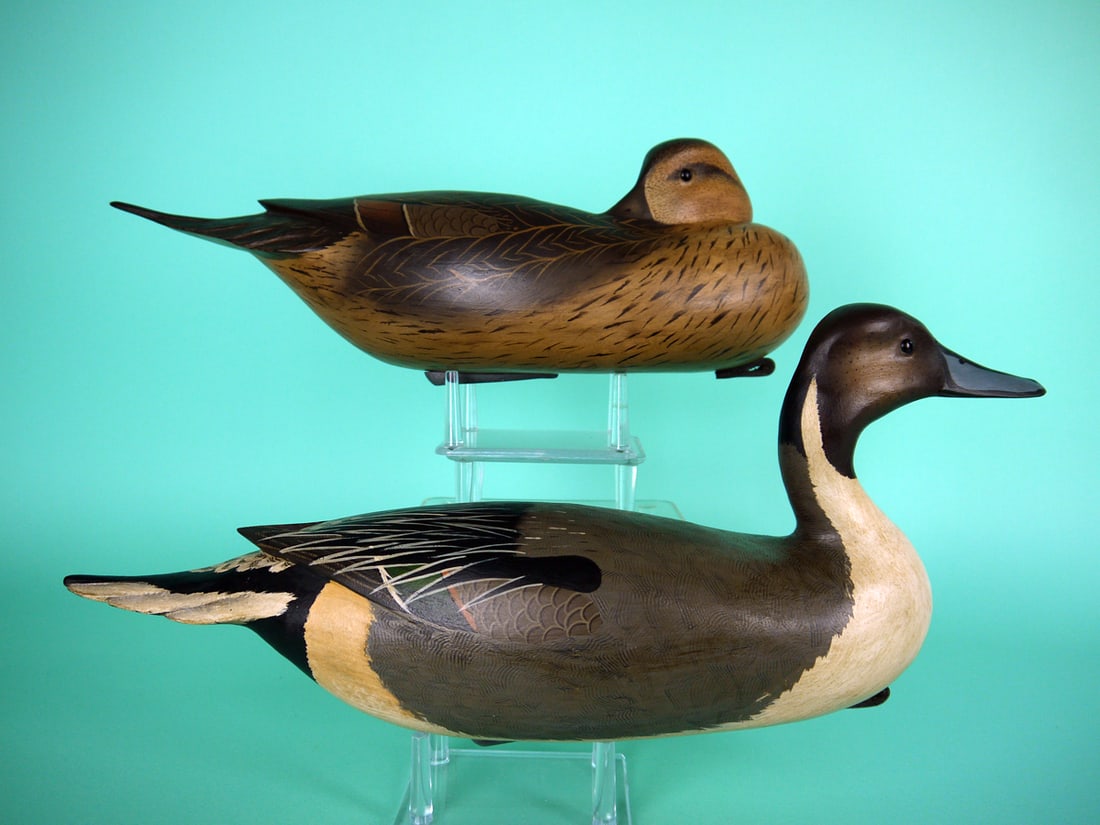 PINTAIL PAIR, B. WHITE - 2